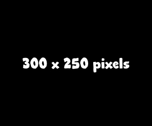 300x250